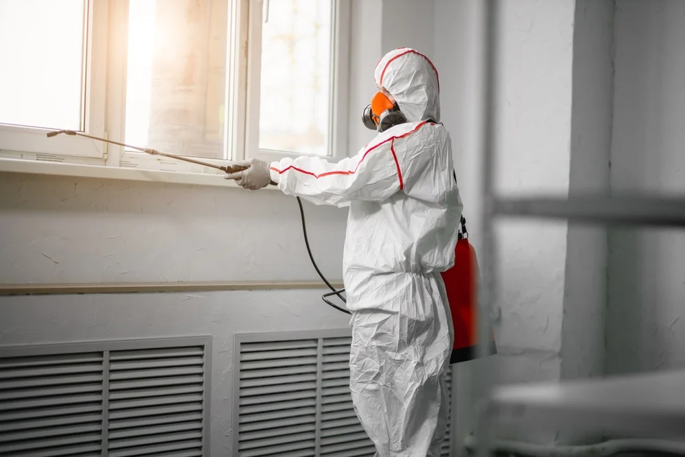 Professional mold remediation services in Saint Cloud, WI